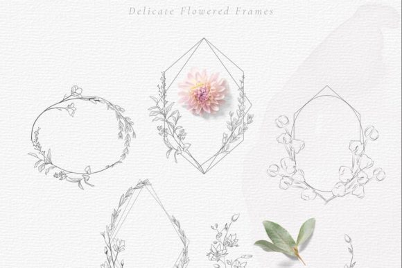 Download Hand-drawn Floral Frames. Wedding. Retro - Frame Collection