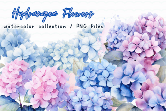 Download Hydrangea Flowers Watercolor Clipart - Hydrangea flowers Collection