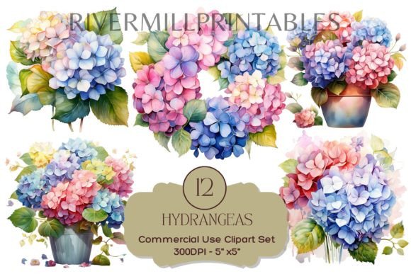 Download Pink Lavender Hydrangea Flowers Clipart - Hydrangea flowers Collection
