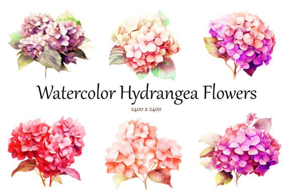 Download Watercolor Hydrangea Flowers Clipart - Hydrangea flowers Collection