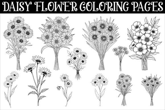 Download Daisy Flower Coloring Pages Featuring - Premium Resources