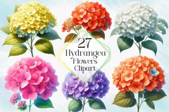 Download Hydrangea Flowers Watercolor Clipart - Hydrangea flowers Collection