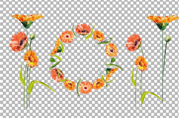 Download Watercolor Flower Bouquet and Frame Clip - Frame Collection