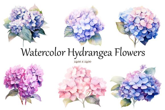 Download Watercolor Hydrangea Flowers Clipart - Hydrangea flowers Collection
