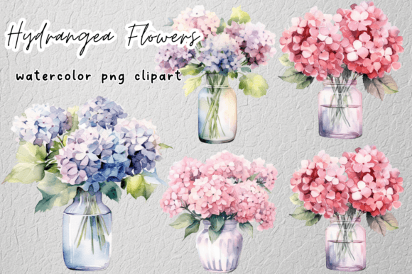 Download Hydrangea Flowers Watercolor Clipart - Hydrangea flowers Collection