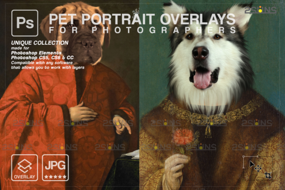 Download Royal Pet Portrait Templates Vol.19 - Pet portrait Collection