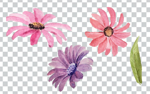Download Watercolor Flower Bouquet and Frame Clip - Frame Collection